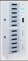 SC-Locker 12